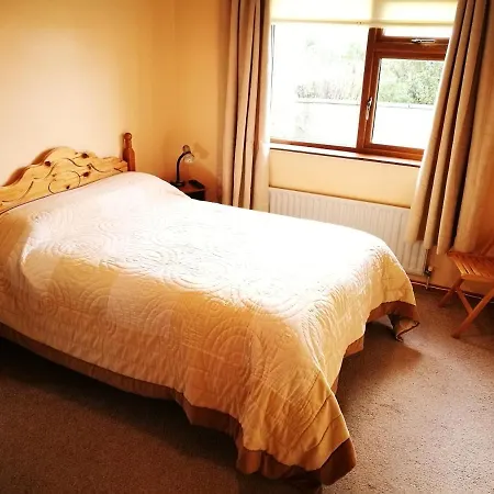 Danubio Guest 招待所 敦贝格